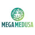 Mega Medusa Casino