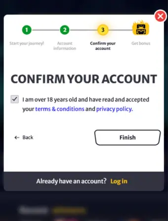 Terms and Conditions