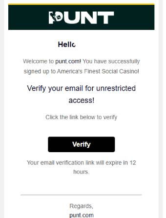 Punt Casino Email Verification