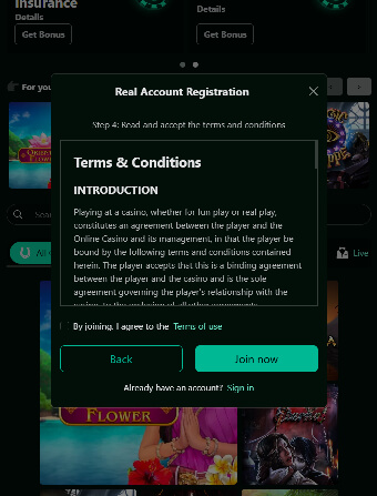 Pure Casino Terms&Conditions