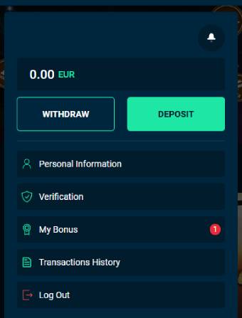 Rolleto Casino Profile Menu