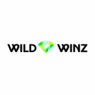 WildWinz Casino