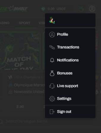 Lets Bamble Casino Profile Menu