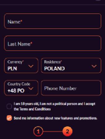Fireball Casino Personal Info
