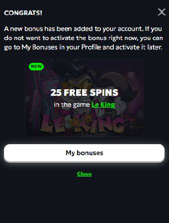 SpinMills Casino No Deposit Bonus Received