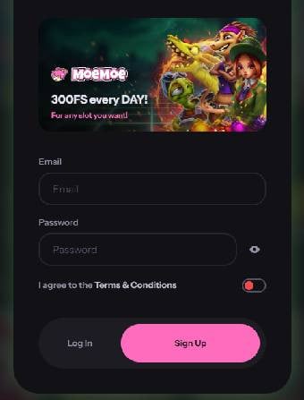 MoeMoe Casino Registration Page