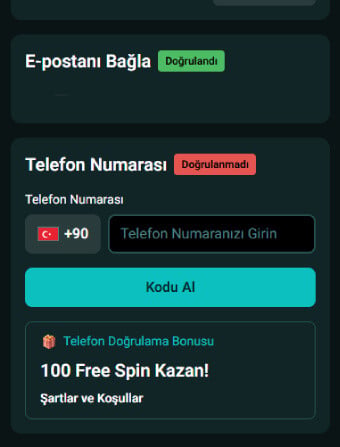 Casitoros Casino Verification