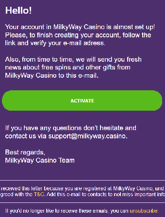 Email Verification 